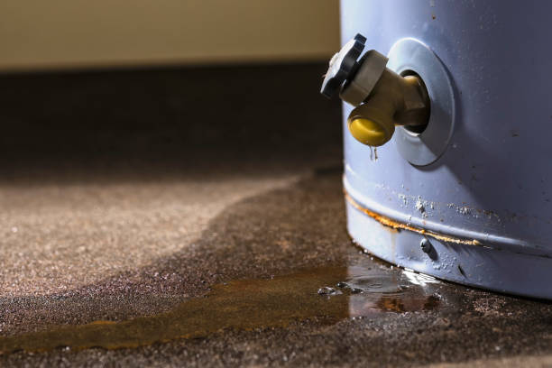 Best Flood restoration services  in Lomira, WI