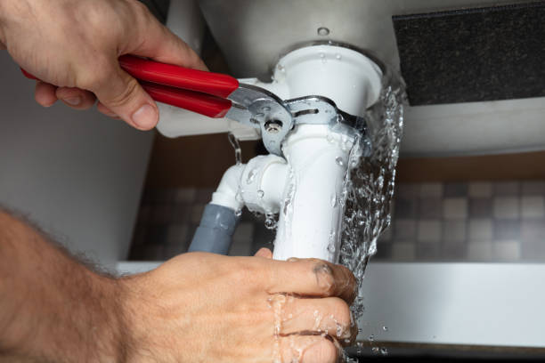 Best Residential water damage restoration  in Lomira, WI