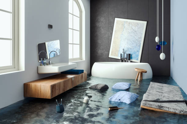 Best Sewage cleanup and water damage restoration  in Lomira, WI