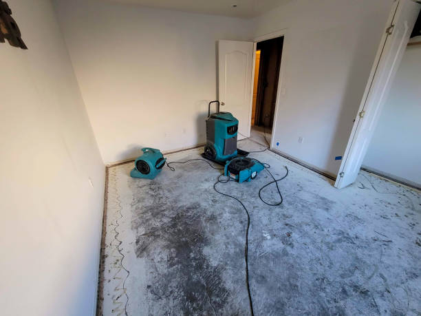 Best Basement water damage restoration  in Lomira, WI