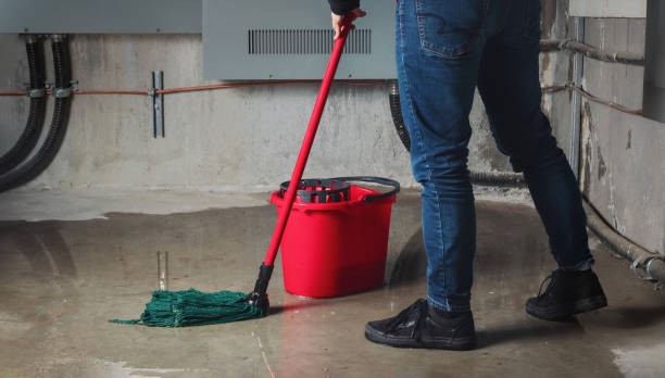 Best Professional water damage repair  in Lomira, WI