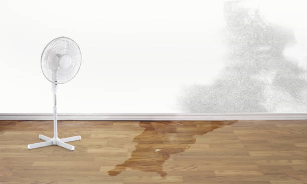 Professional Water damage restoration in Lomira, WI
