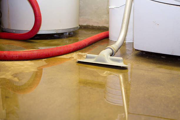 Best Sewage cleanup and water damage restoration  in Lomira, WI