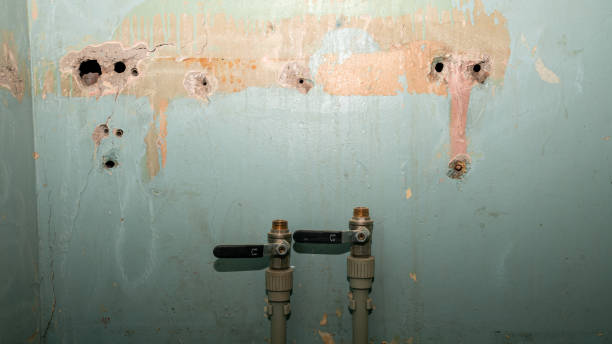 Best Flood damage cleanup  in Lomira, WI