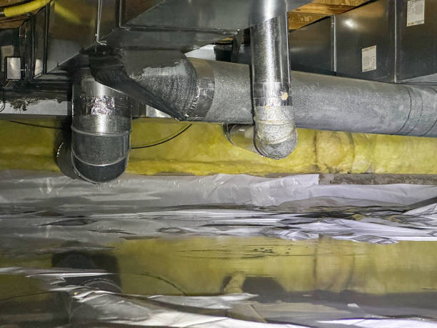 Best 24-hour water damage restoration  in Lomira, WI