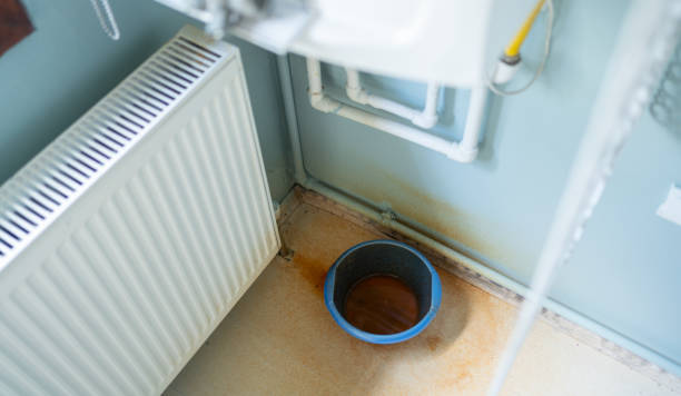 Best Local water damage restoration  in Lomira, WI