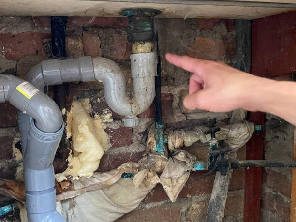 Best Residential water damage restoration  in Lomira, WI