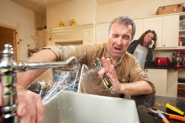 Best Water damage cleanup near me  in Lomira, WI
